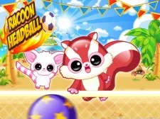 RACOON Headball